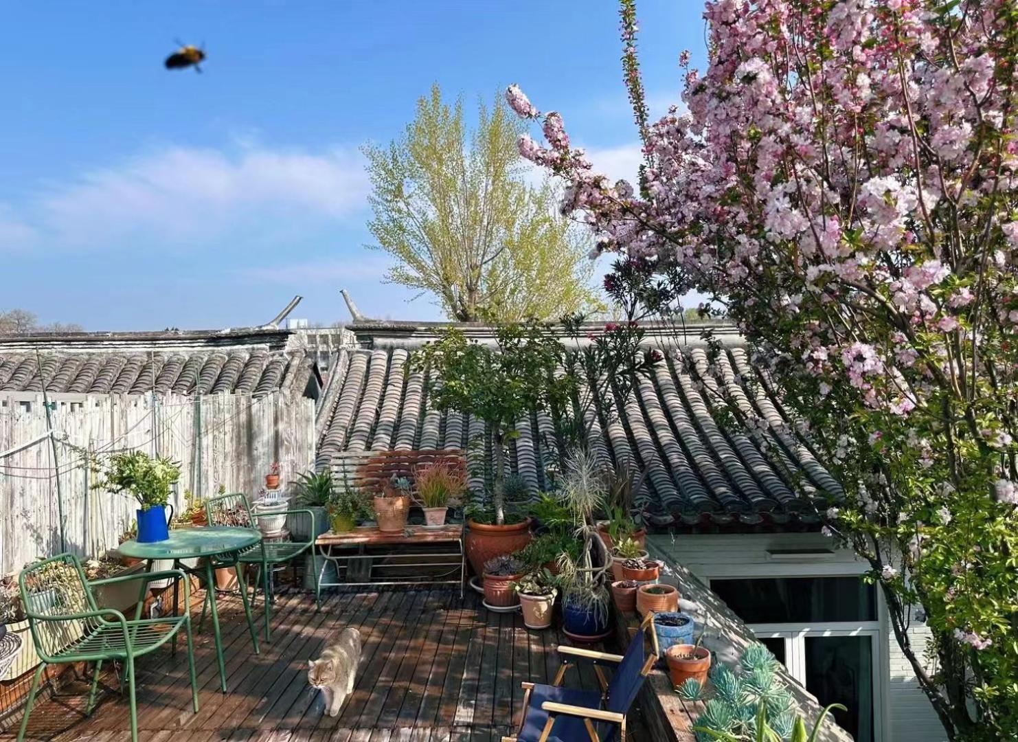 Peking Garden Boutique Hotel Zewnętrze zdjęcie