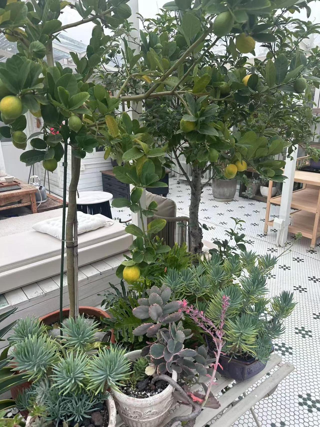 Peking Garden Boutique Hotel Zewnętrze zdjęcie
