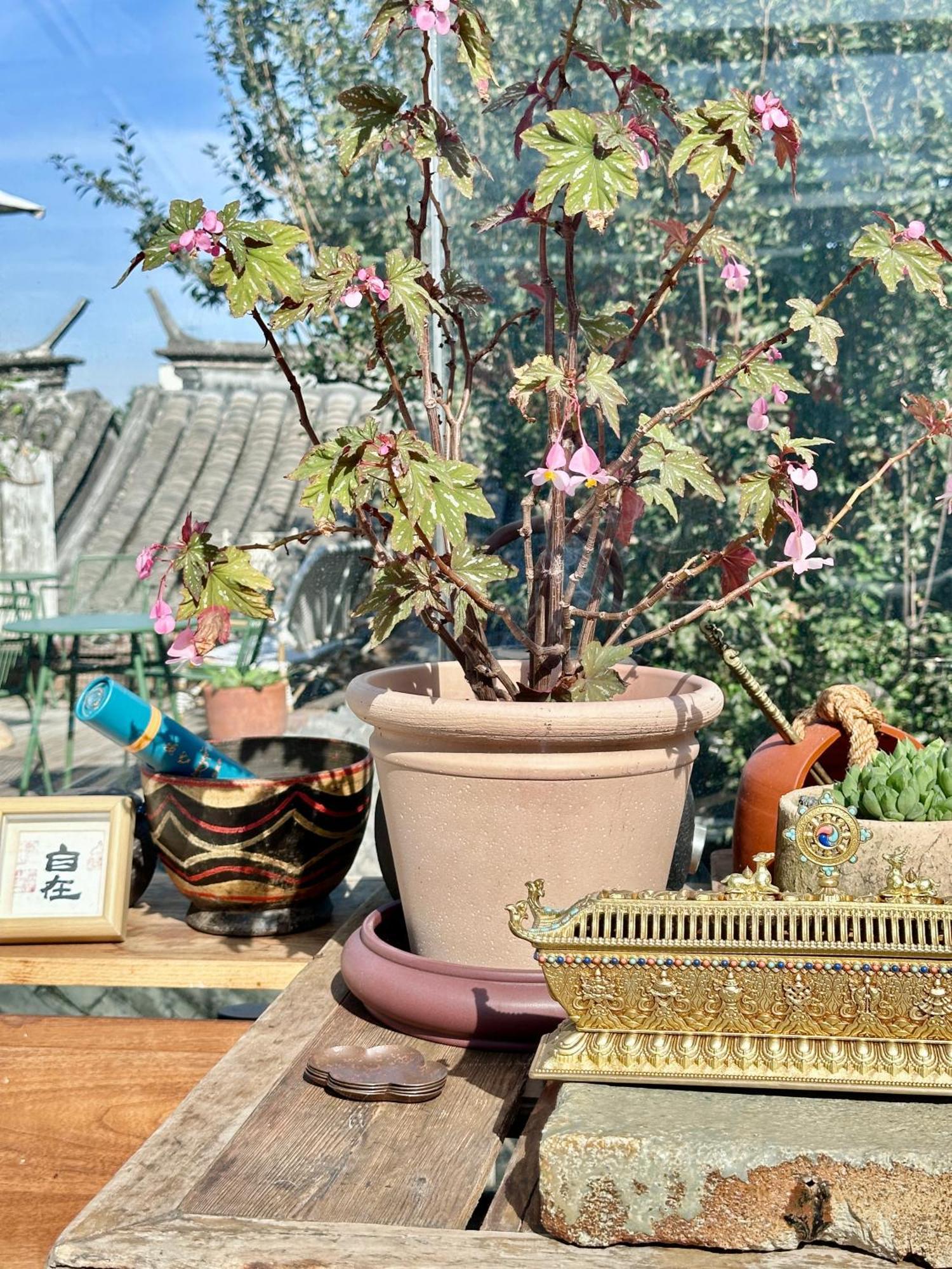 Peking Garden Boutique Hotel Zewnętrze zdjęcie