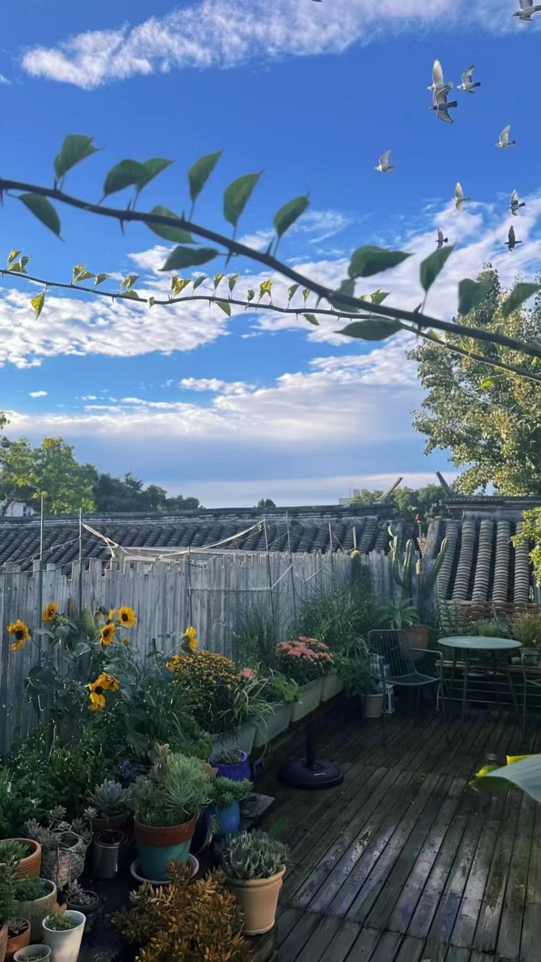 Peking Garden Boutique Hotel Zewnętrze zdjęcie