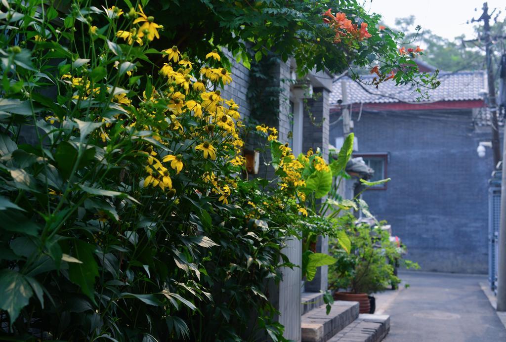 Peking Garden Boutique Hotel Zewnętrze zdjęcie