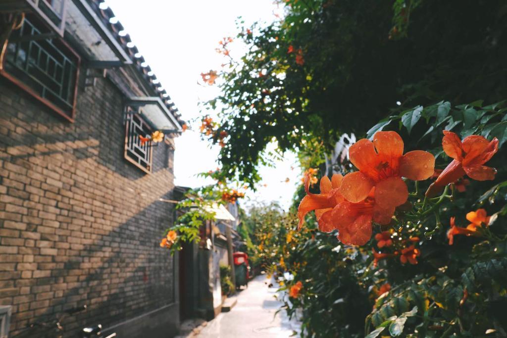 Peking Garden Boutique Hotel Zewnętrze zdjęcie