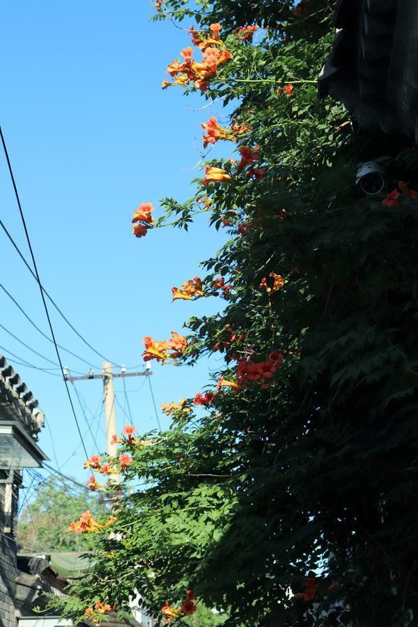 Peking Garden Boutique Hotel Zewnętrze zdjęcie